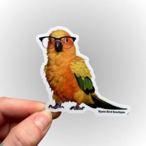 bird nerd sun conure sticker limited edition